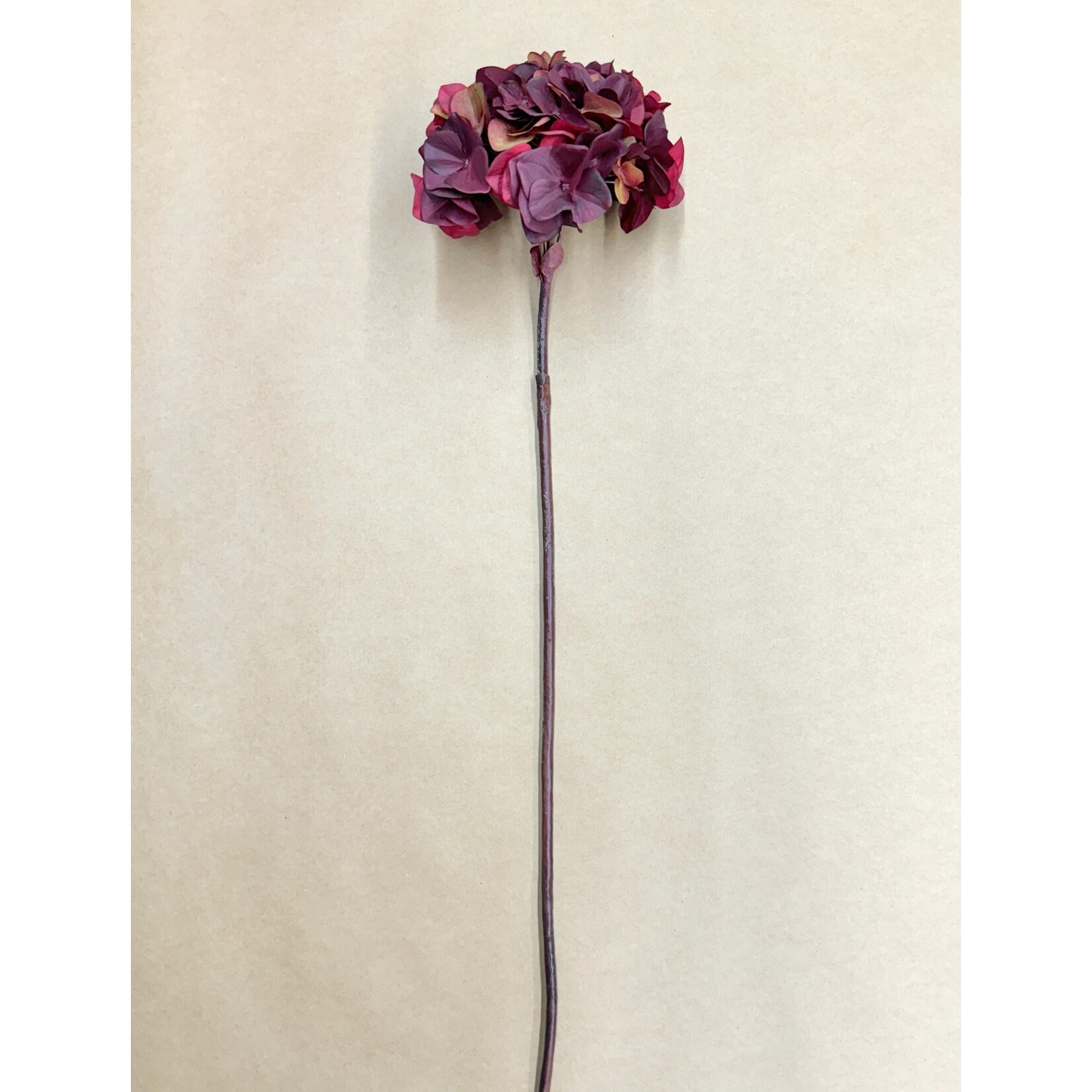 30" HYDRANGEA SPRAY BURGUNDY
