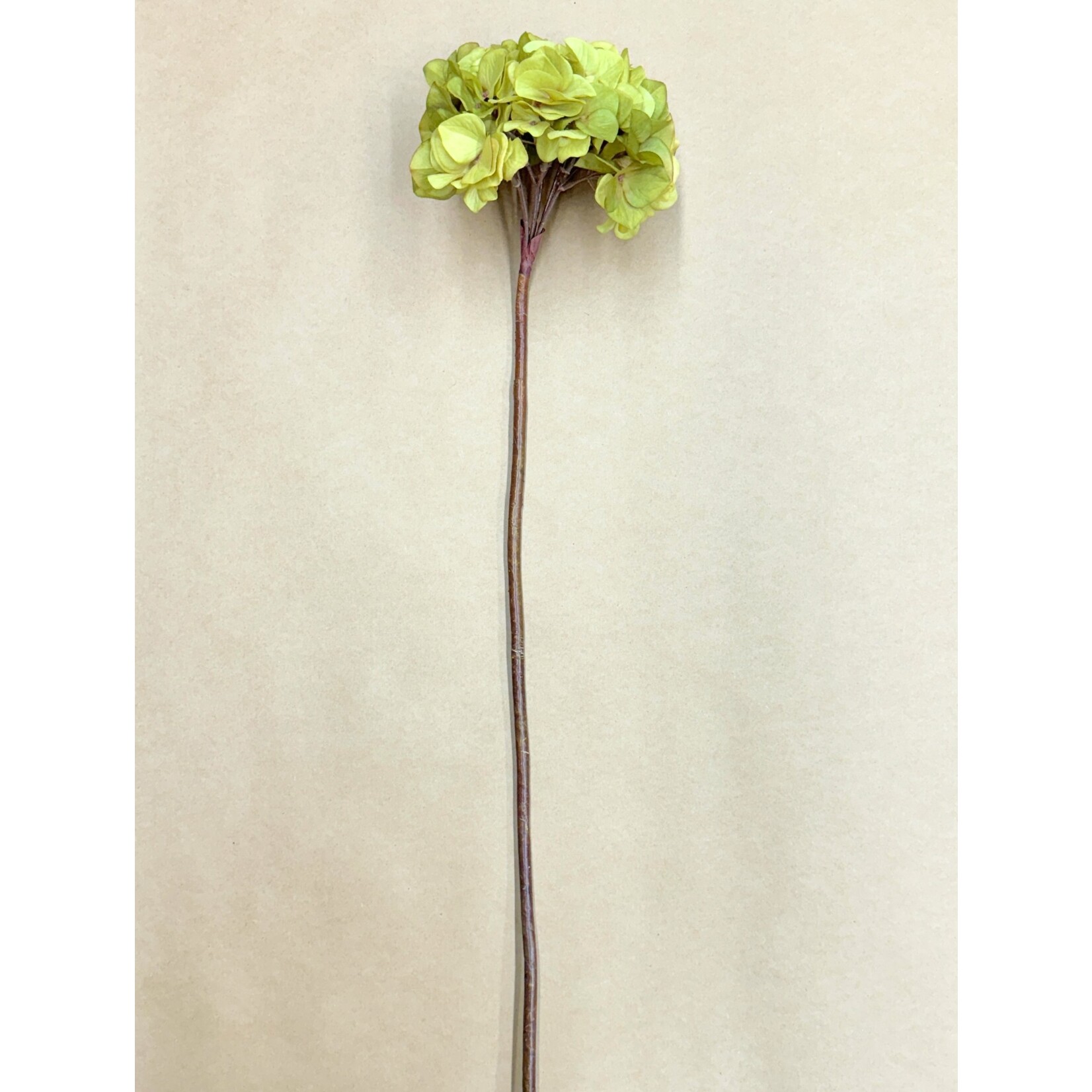 30" HYDRANGEA SPRAY OLIVE GREEN