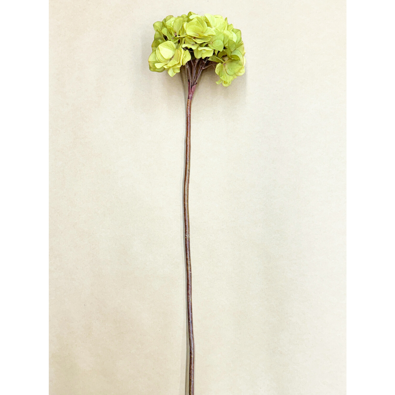 30" HYDRANGEA SPRAY OLIVE GREEN