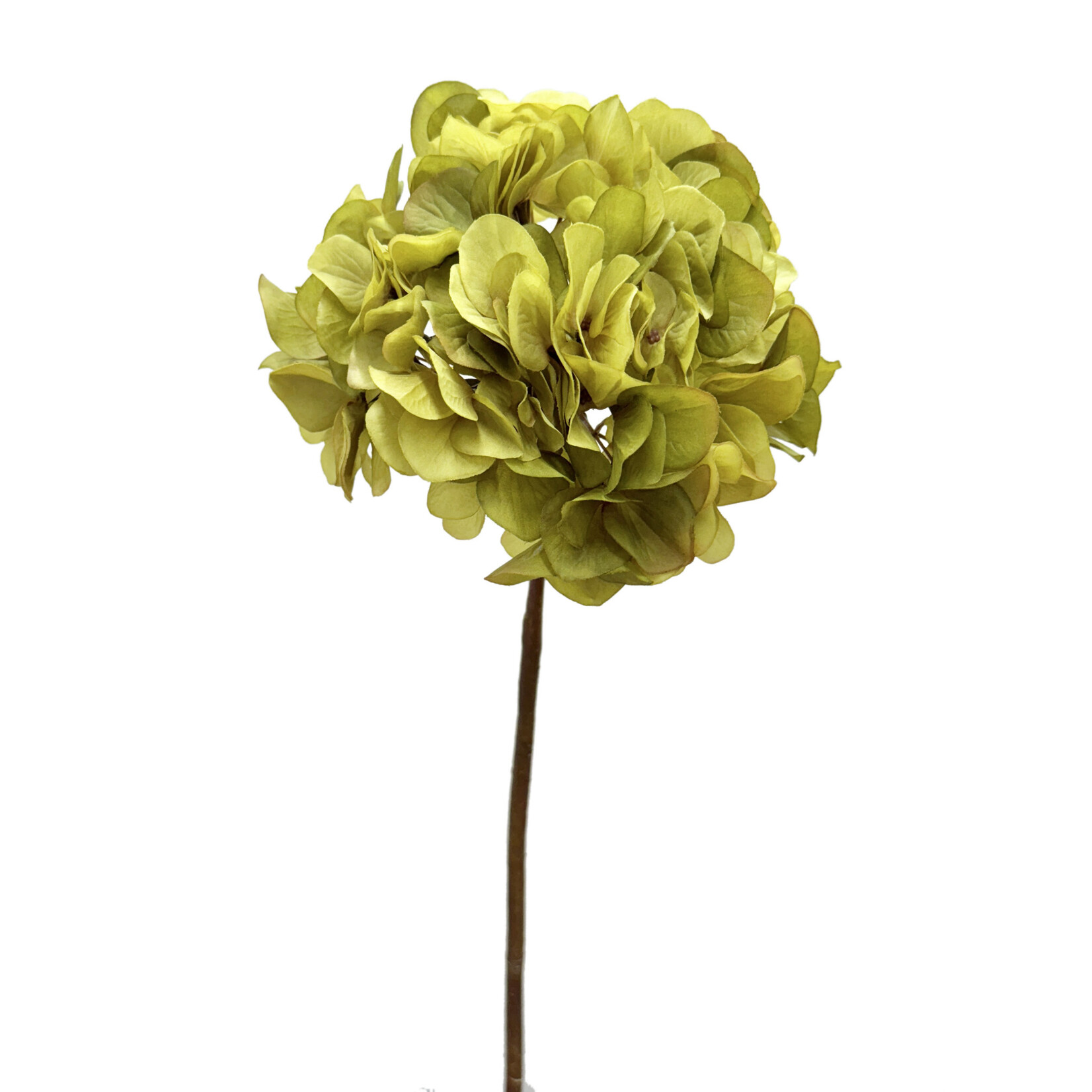 30" HYDRANGEA SPRAY OLIVE GREEN