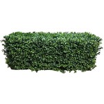 CBH041-GN: 30X12X12'' BOXWOOD FENCE GREEN