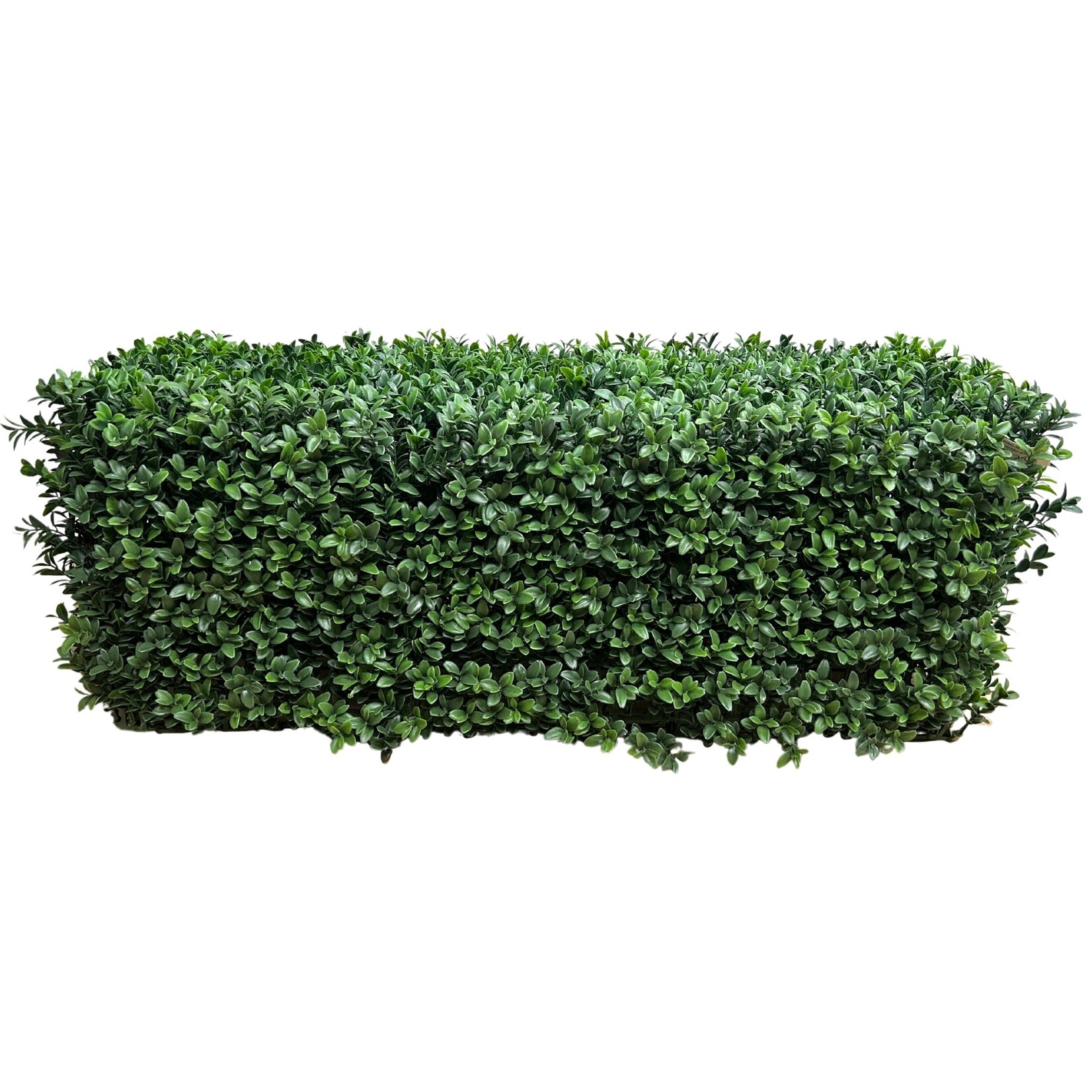 30X12X12'' BOXWOOD FENCE GREEN