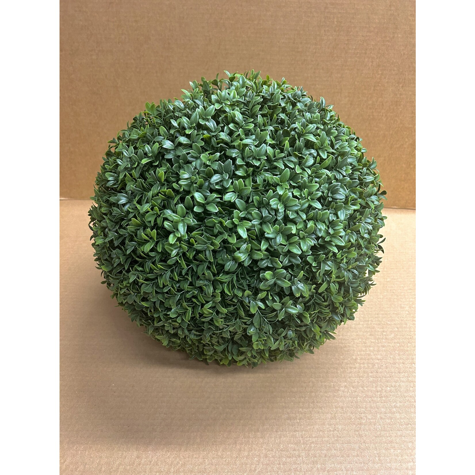 17" BOXWOOD BALL GREEN