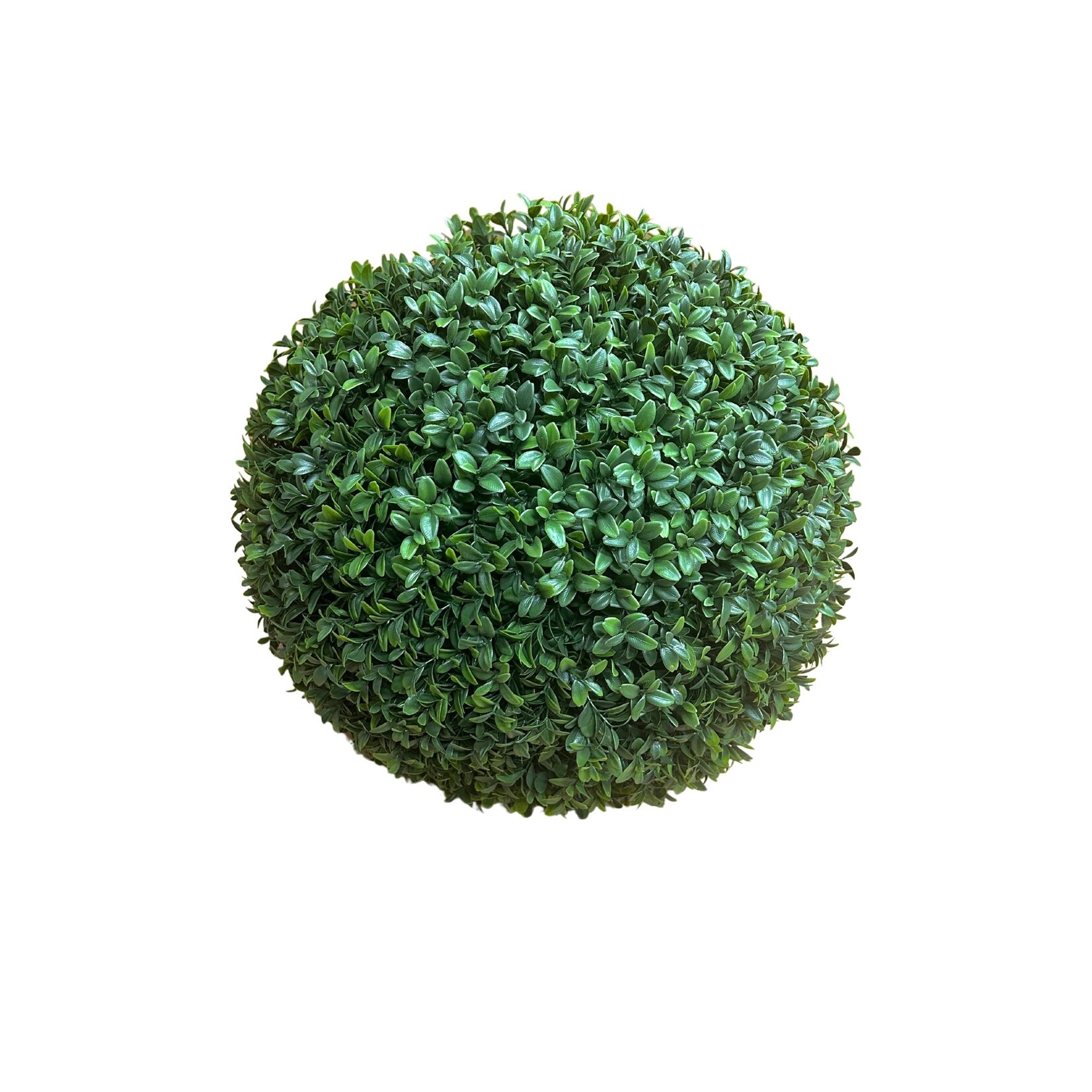 17" BOXWOOD BALL GREEN