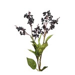XBE430-BK: 25.25" LECOSDA BERRY SPRAY BLACK