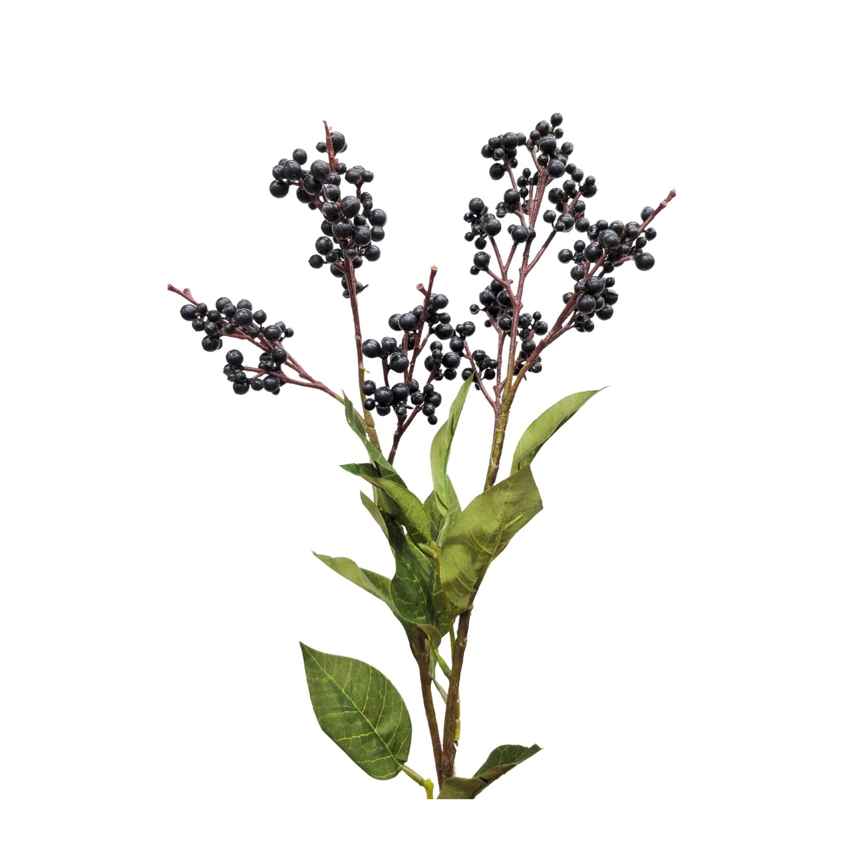 25.25" LECOSDA BERRY SPRAY BLACK