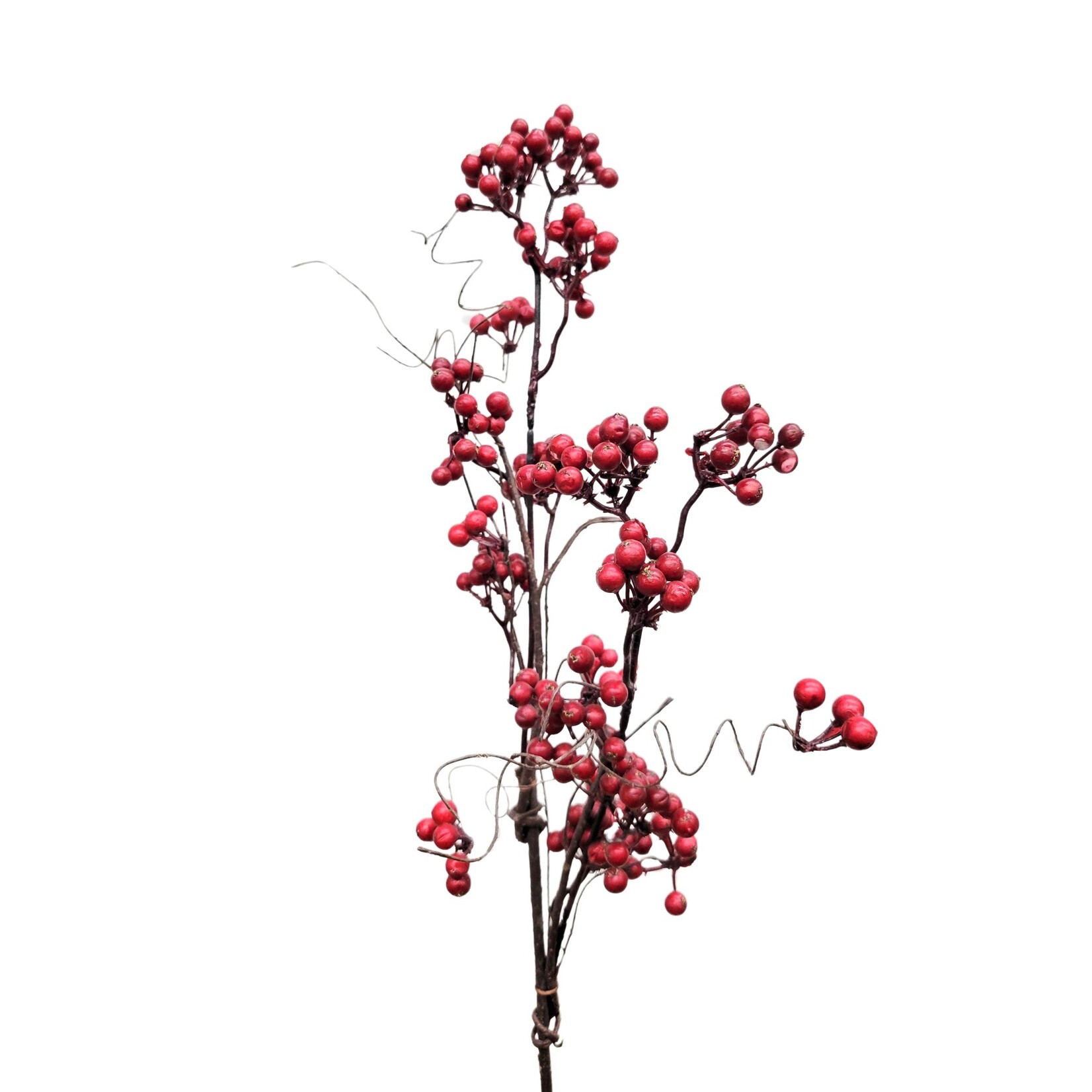 30" BERRY BRANCH - RED
