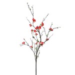 CSB050-CO: 57" QUINCE BLOSSOM BRANCH CORAL