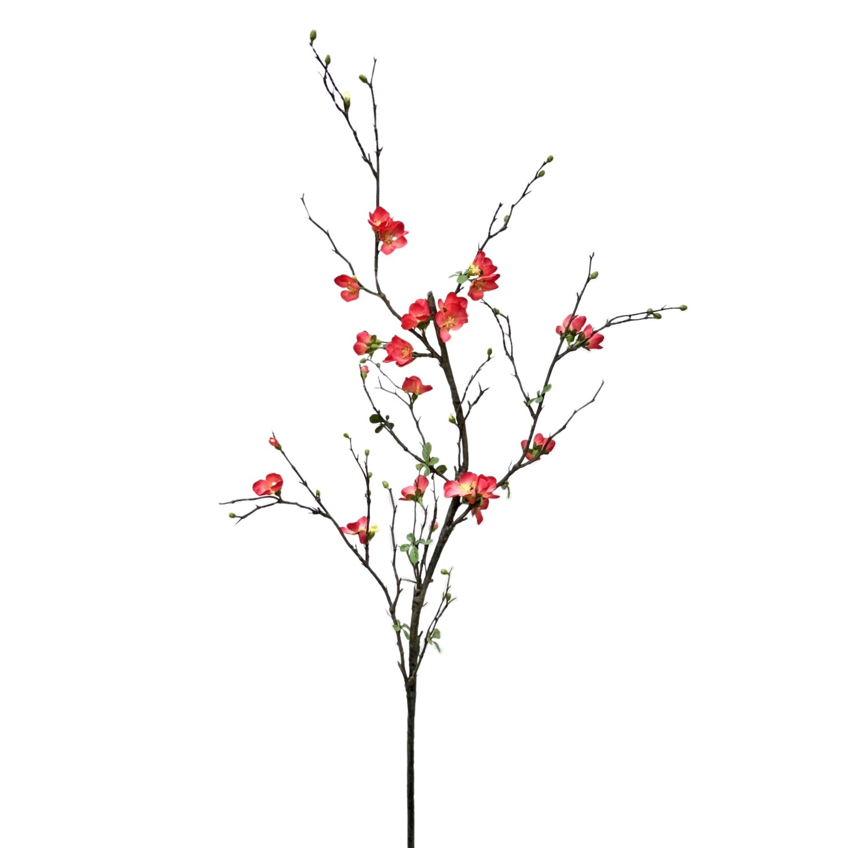 57" QUINCE BLOSSOM BRANCH CORAL