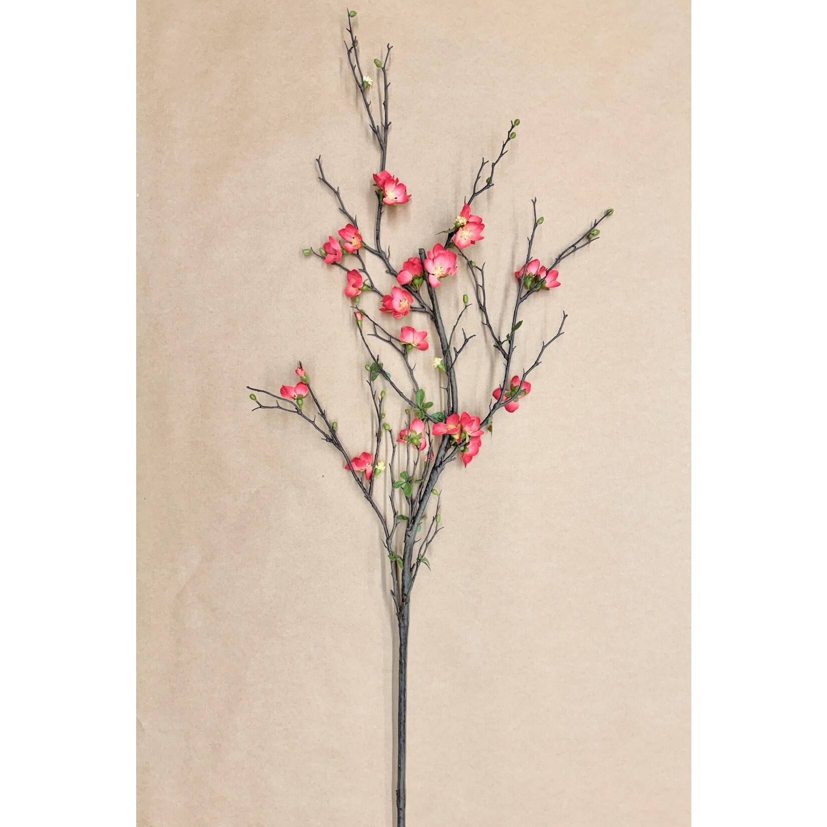 57" QUINCE BLOSSOM BRANCH CORAL