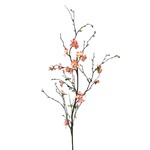 CSB050-SA: 57" QUINCE BLOSSOM BRANCH SALMON