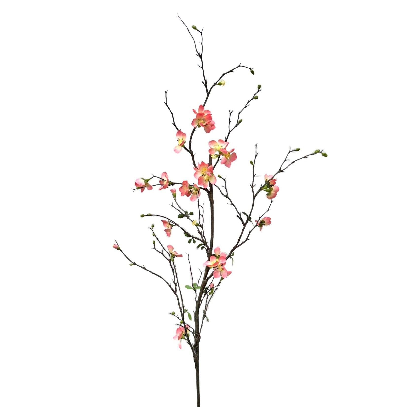 57" QUINCE BLOSSOM BRANCH SALMON