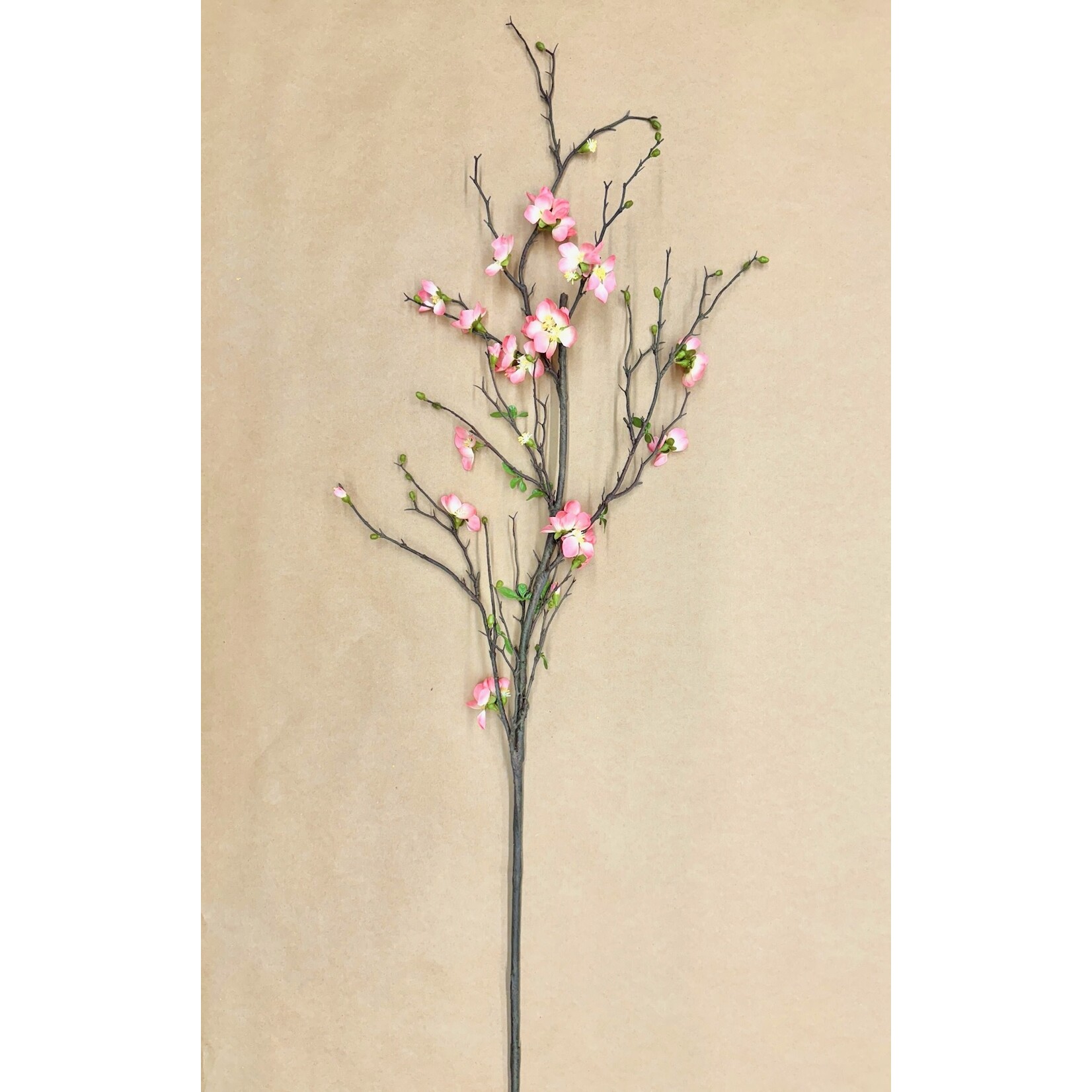 57" QUINCE BLOSSOM BRANCH SALMON