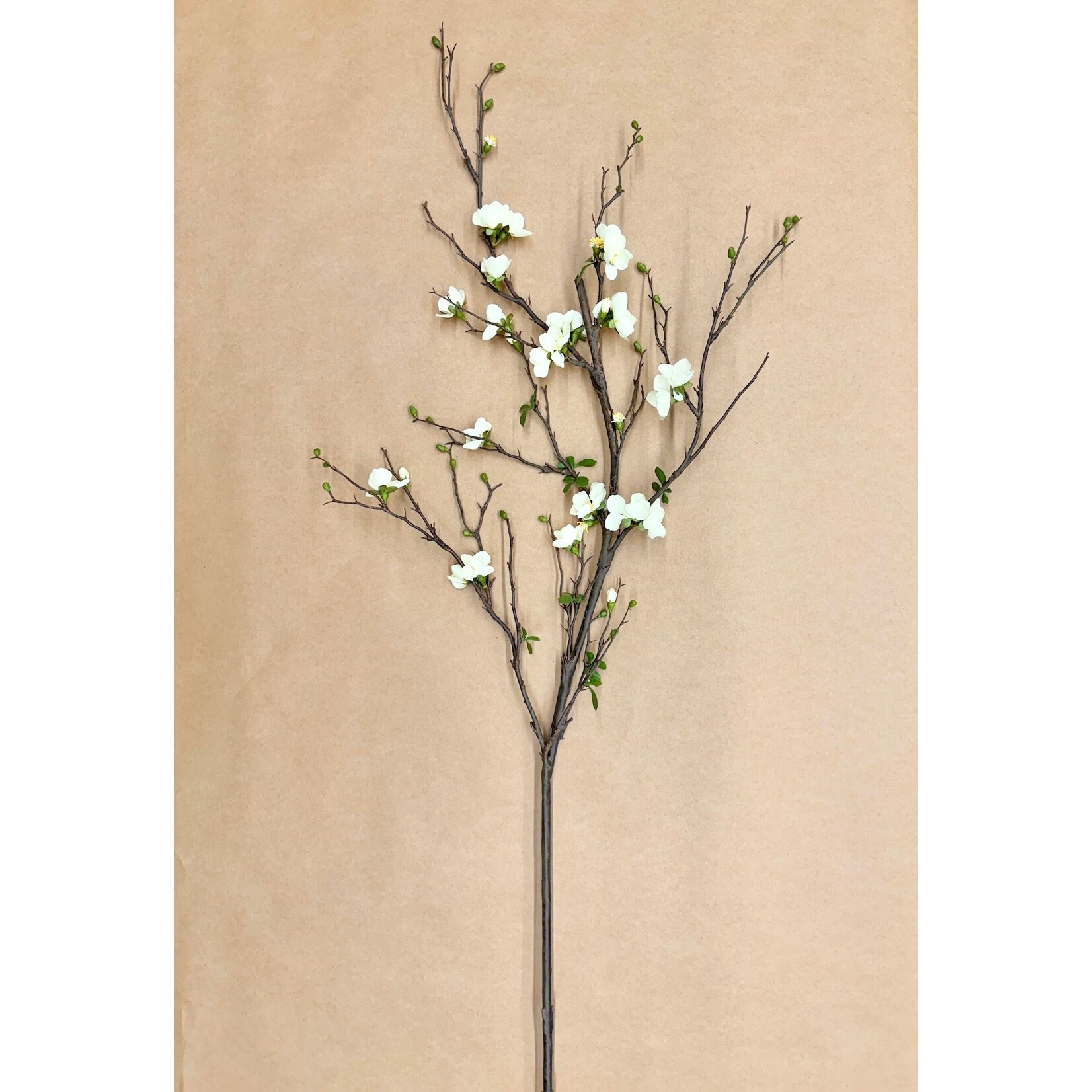 57" QUINCE BLOSSOM BRANCH CREAM