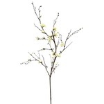 CSB050-CR: 57"  QUINCE BLOSSOM BRANCH CREAM