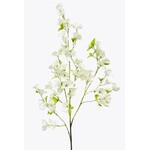 CSD319-WH: 72" DOGWOOD WHITE