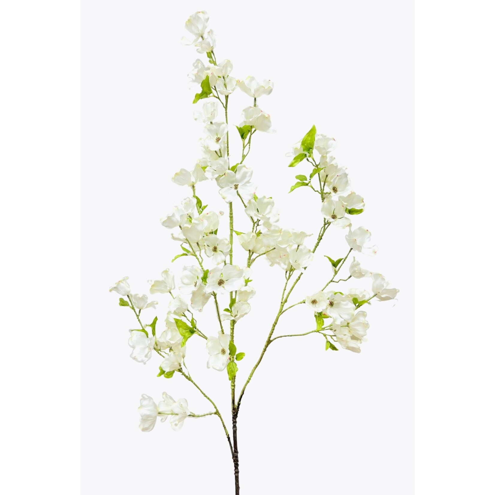 72" DOGWOOD WHITE