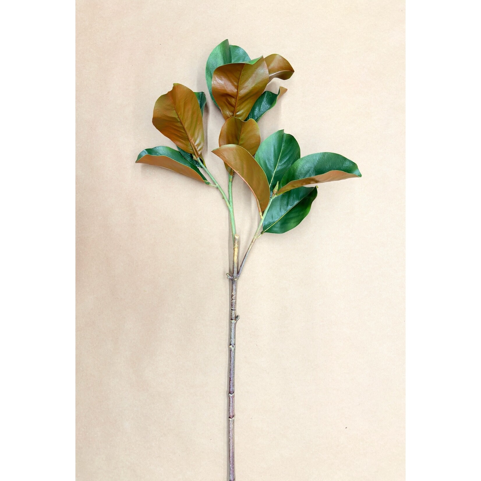 40" MAGNOLIA BRANCH GREEN