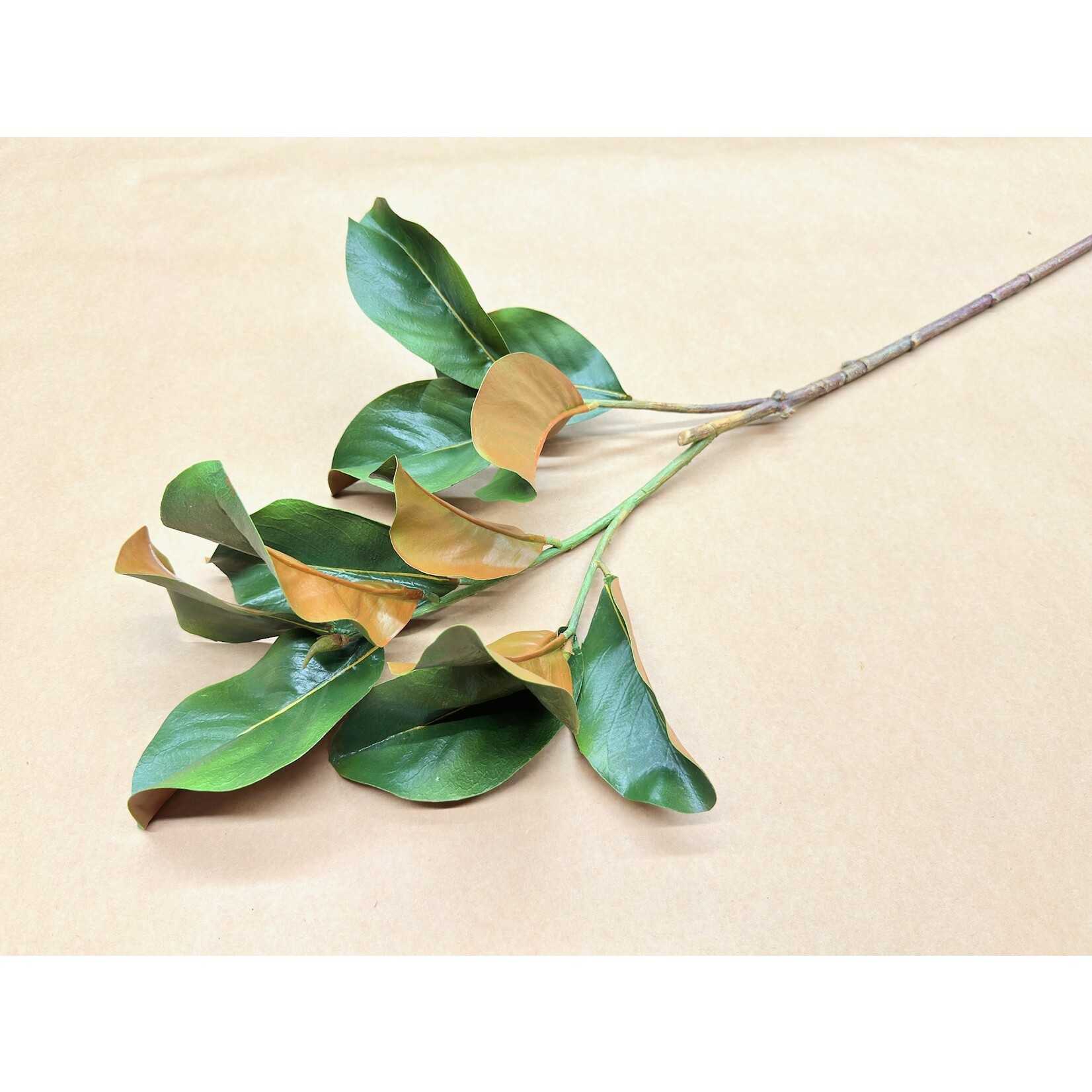 40" MAGNOLIA BRANCH GREEN