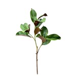 XGE981-GN: 40" MAGNOLIA BRANCH GREEN