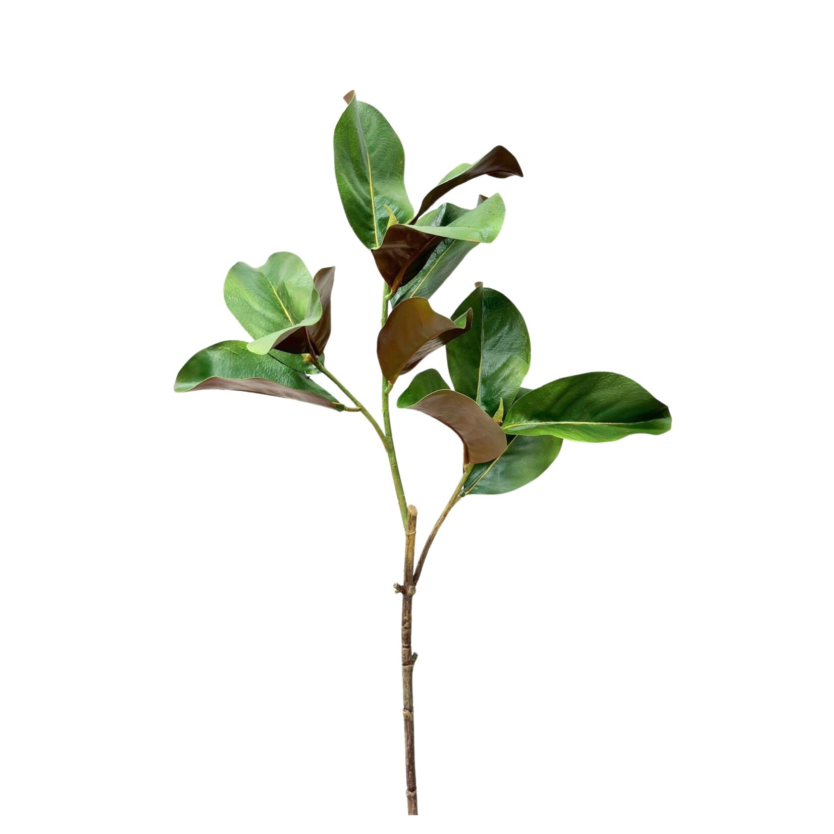40" MAGNOLIA BRANCH GREEN