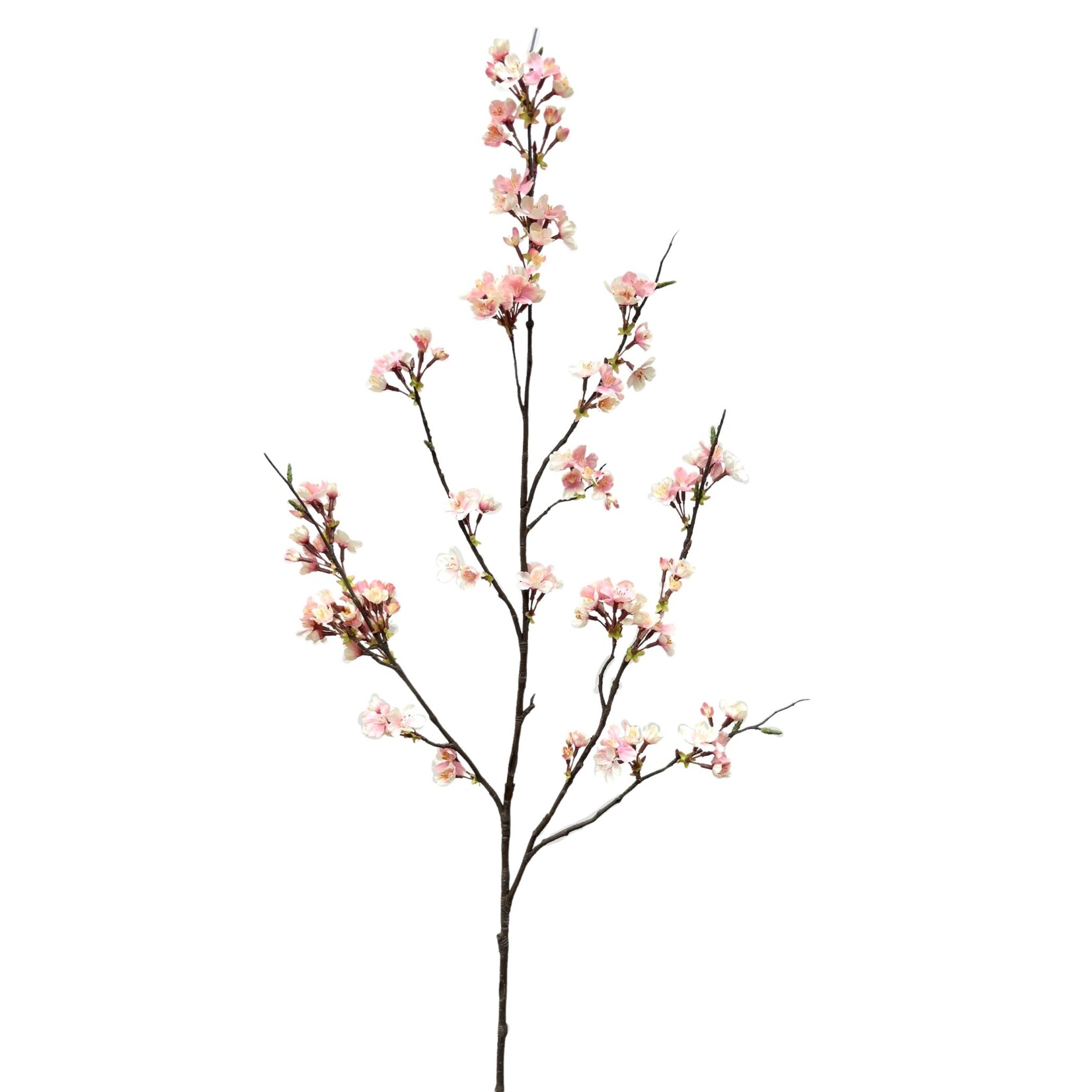 51" CHERRY BLOSSOM SPRAY PINK CREAM