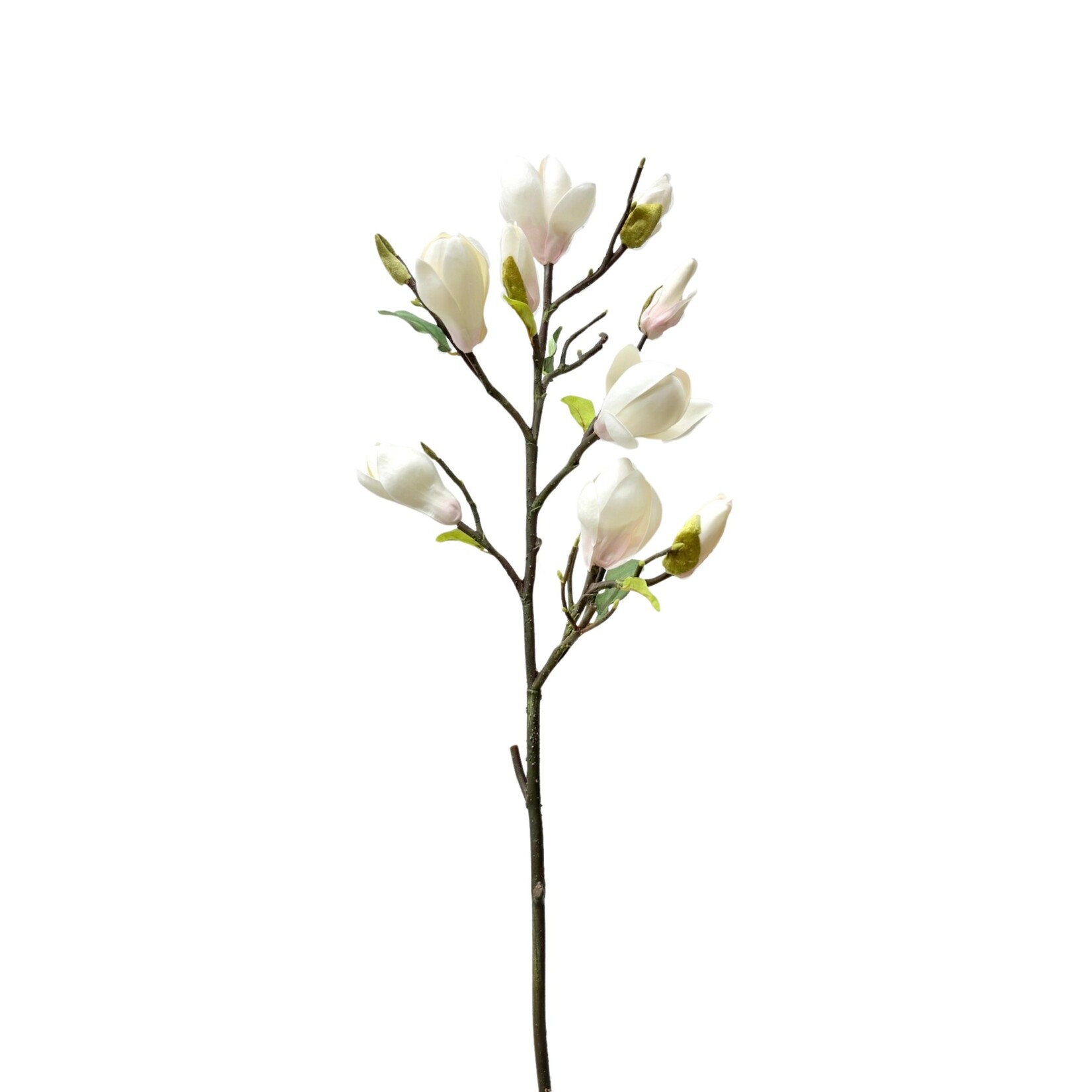 32" MAGNOLIA TREE SPRAY CHAMPAGNE