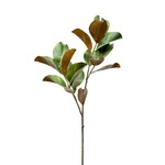 XGE892-GN: 40" MAGNOLIA LEAF GREEN