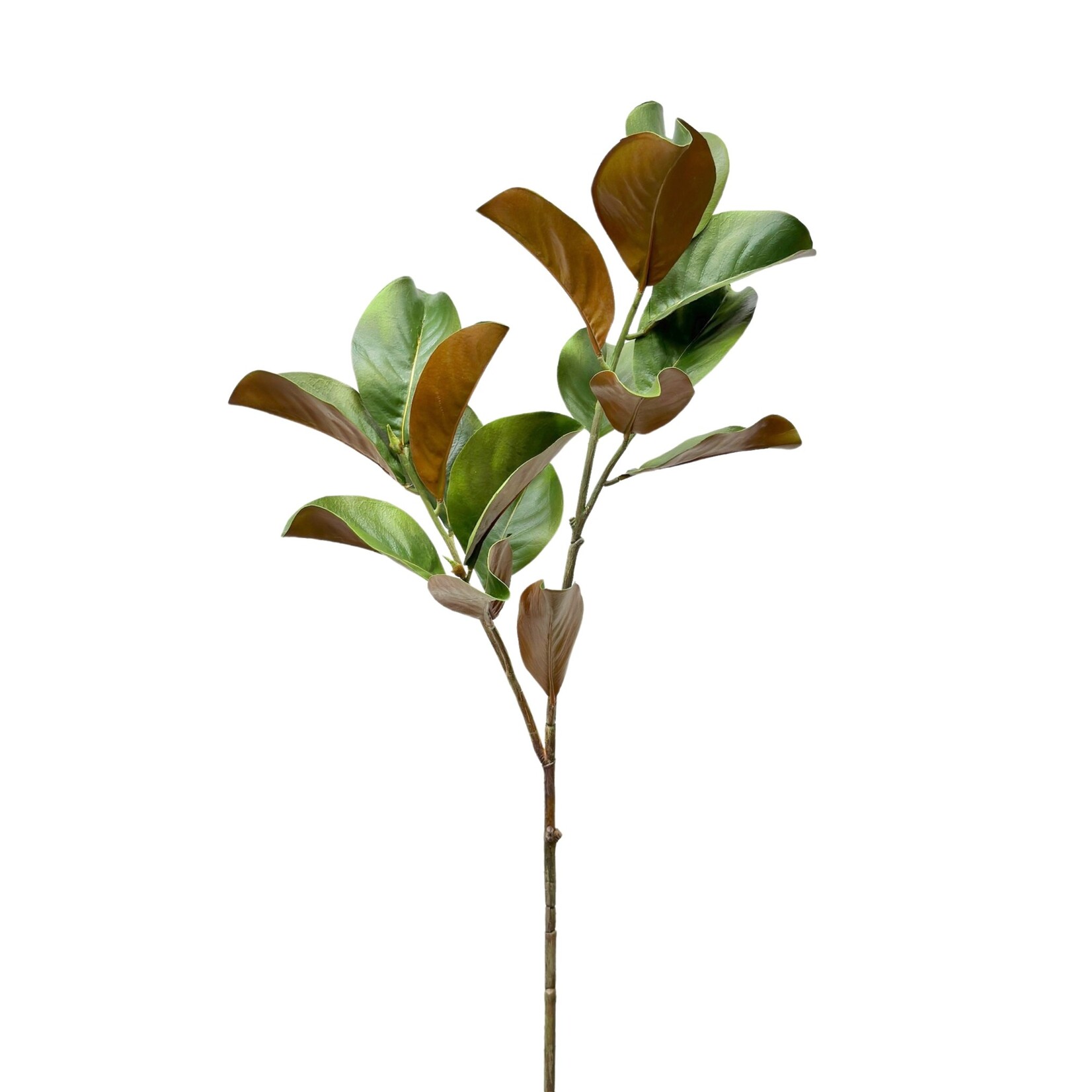 40" MAGNOLIA LEAF GREEN