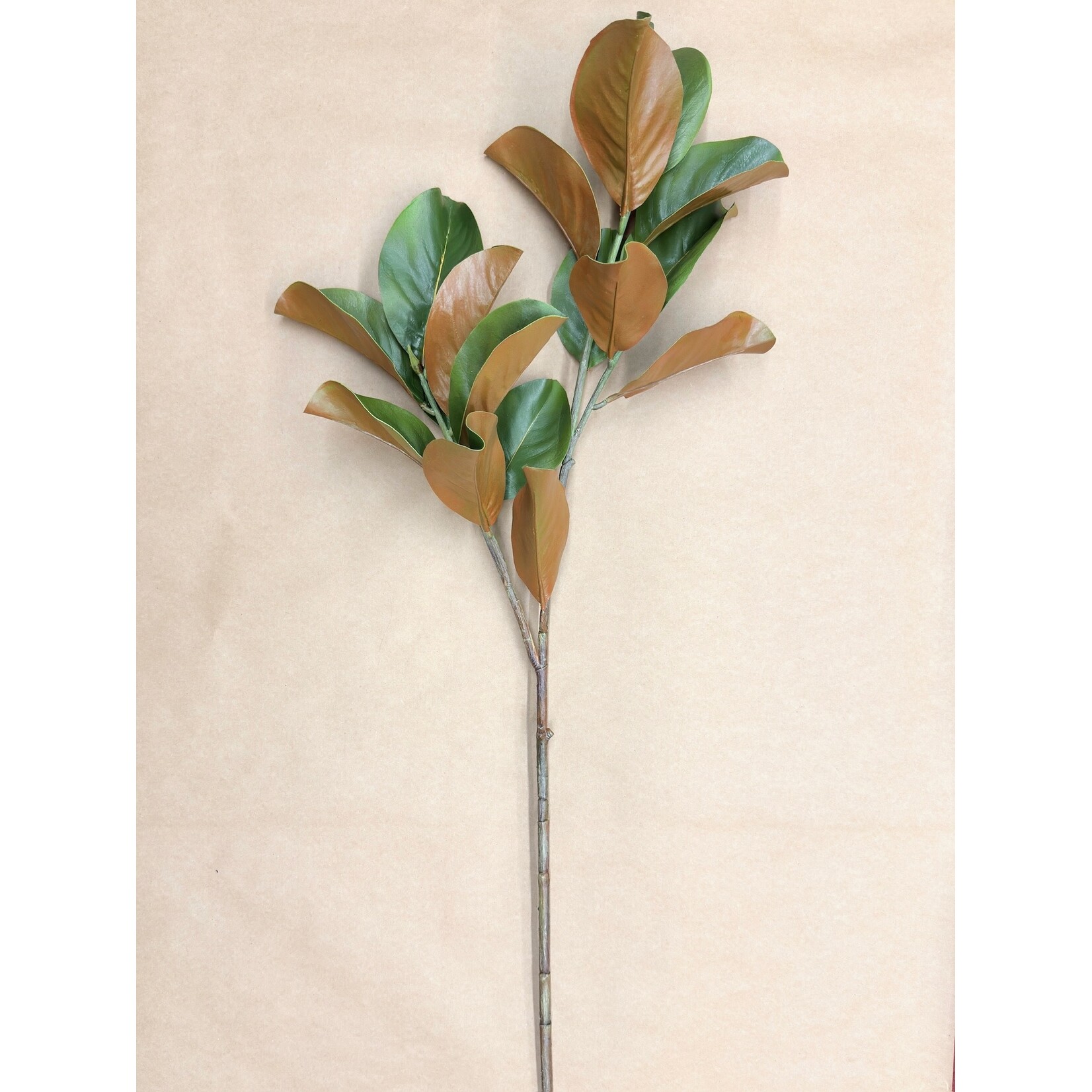 40" MAGNOLIA LEAF GREEN