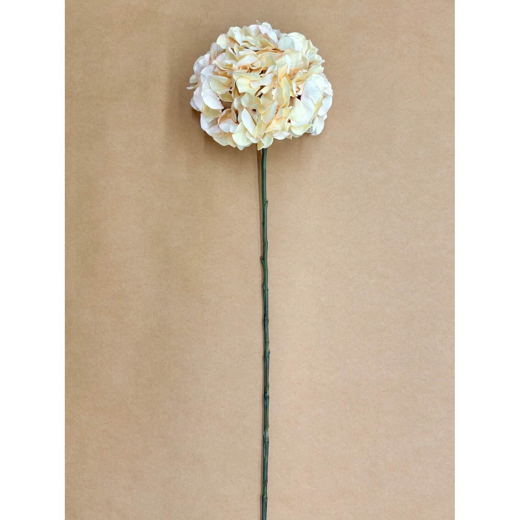 30" HYDRANGEA SPRAY BEIGE