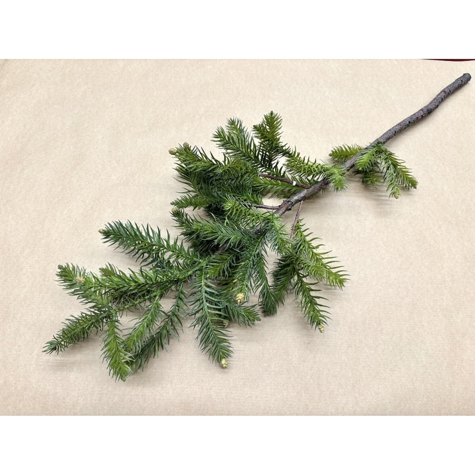 41" PINE TREE BRANCH GREEN