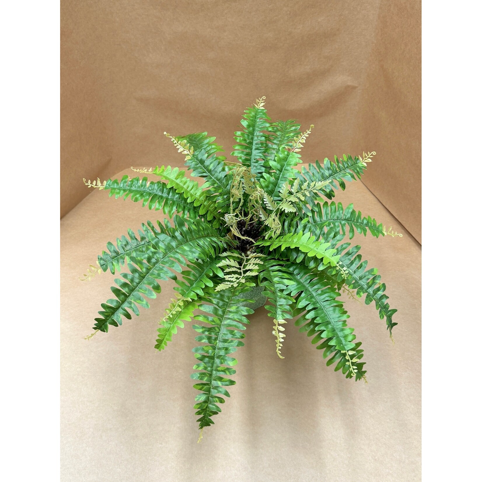 18" BOSTON FERN BUSH GREEN