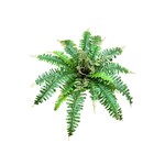 CGF064-GN: 18" BOSTON FERN BUSH GREEN