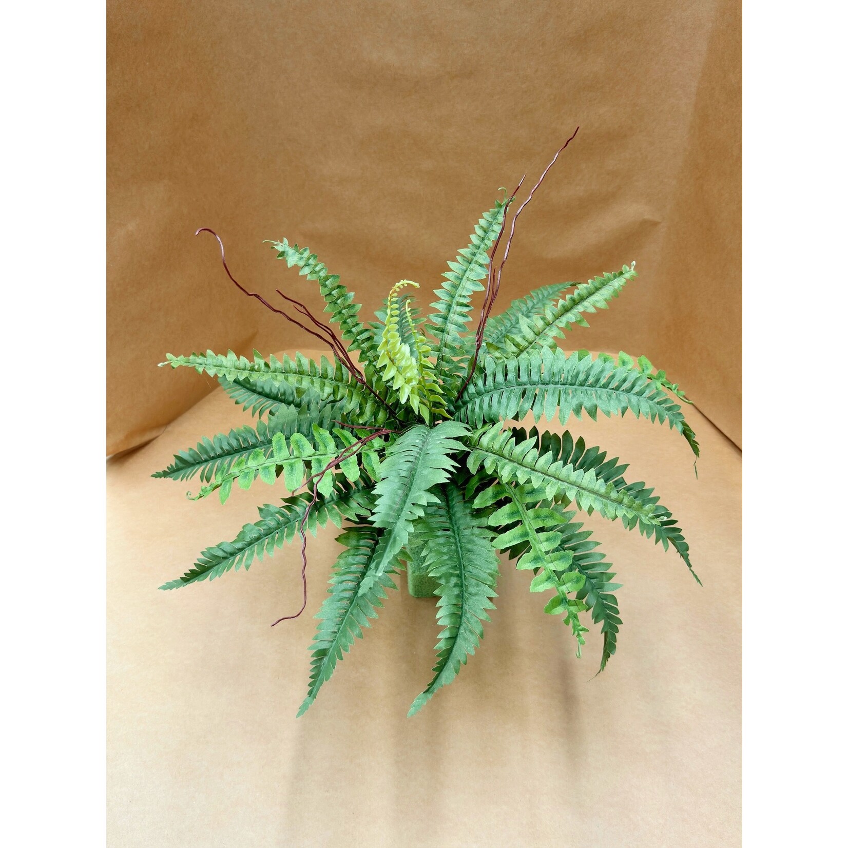 16" BOSTON FERN BUSH GREEN