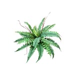 CGF260-GN: 16" BOSTON FERN BUSH GREEN