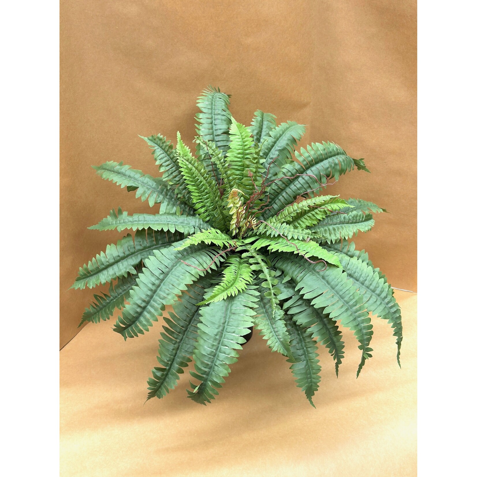 22" BOSTON FERN BUSH GREEN