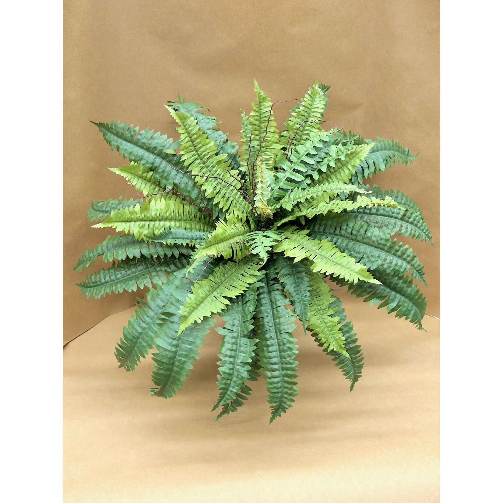 23" BOSTON FERN BUSH GREEN