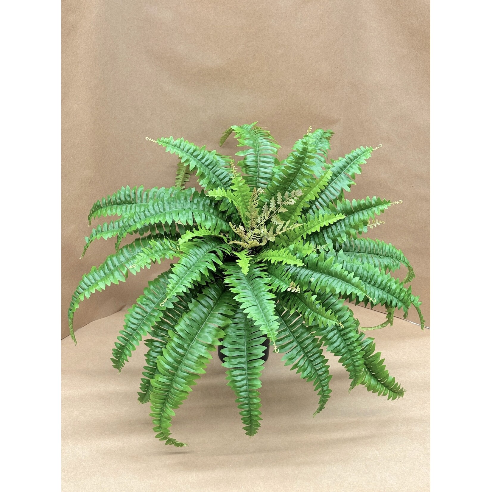 23" BOSTON FERN BUSH GREEN
