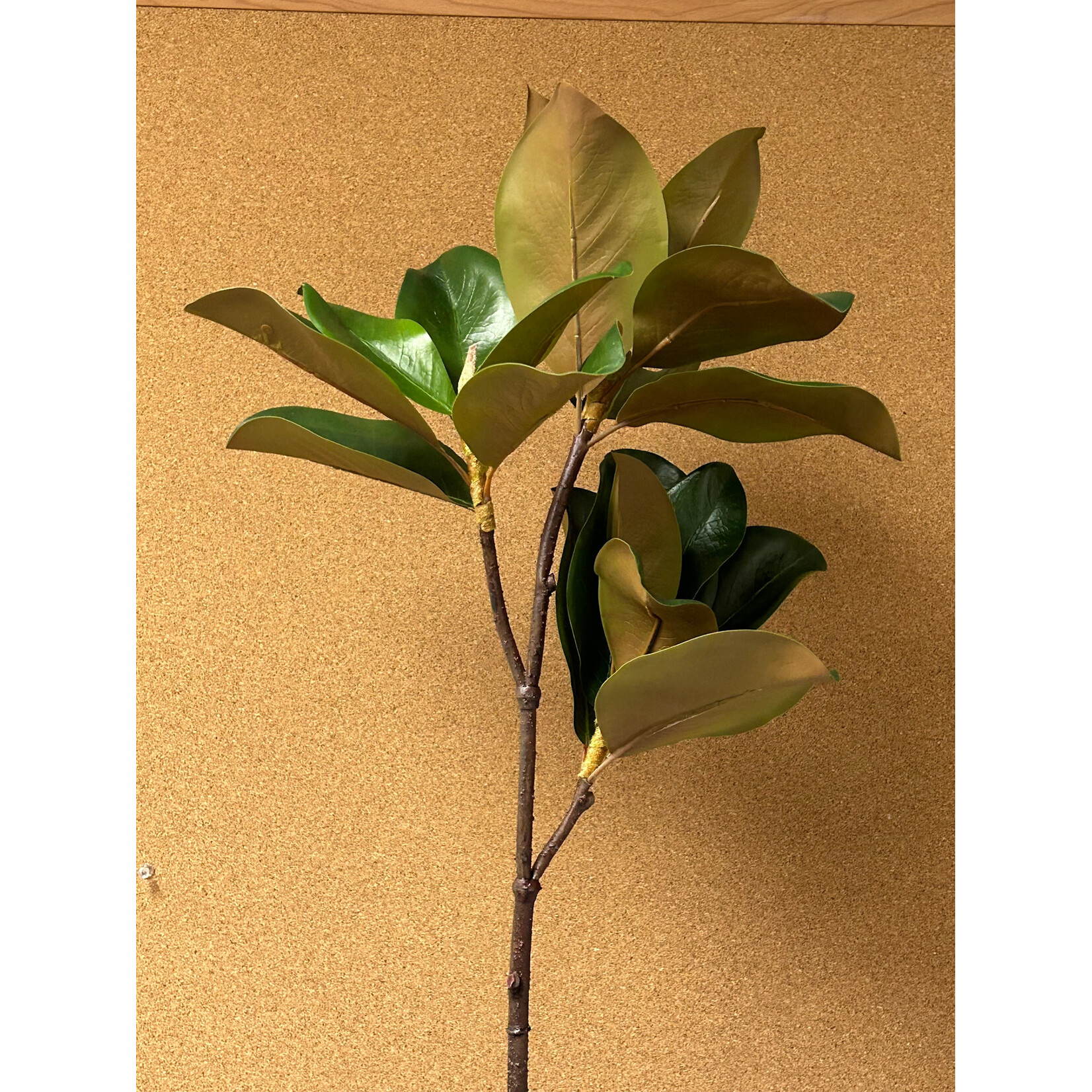 39" MAGNOLIA LEAF SPRAY GREEN