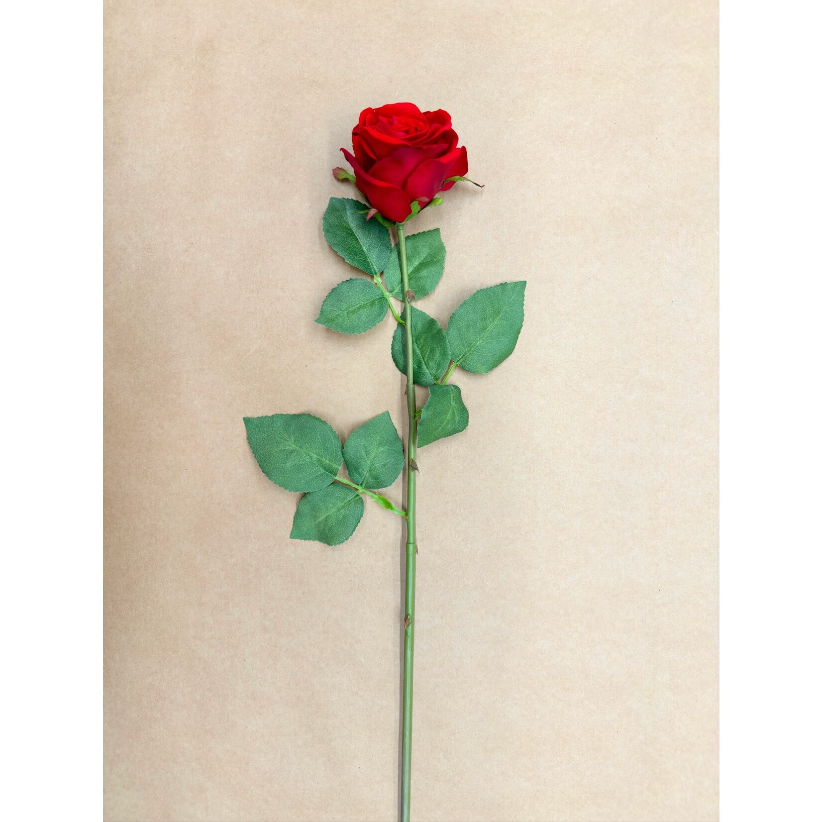 28" ROSE STEM RED
