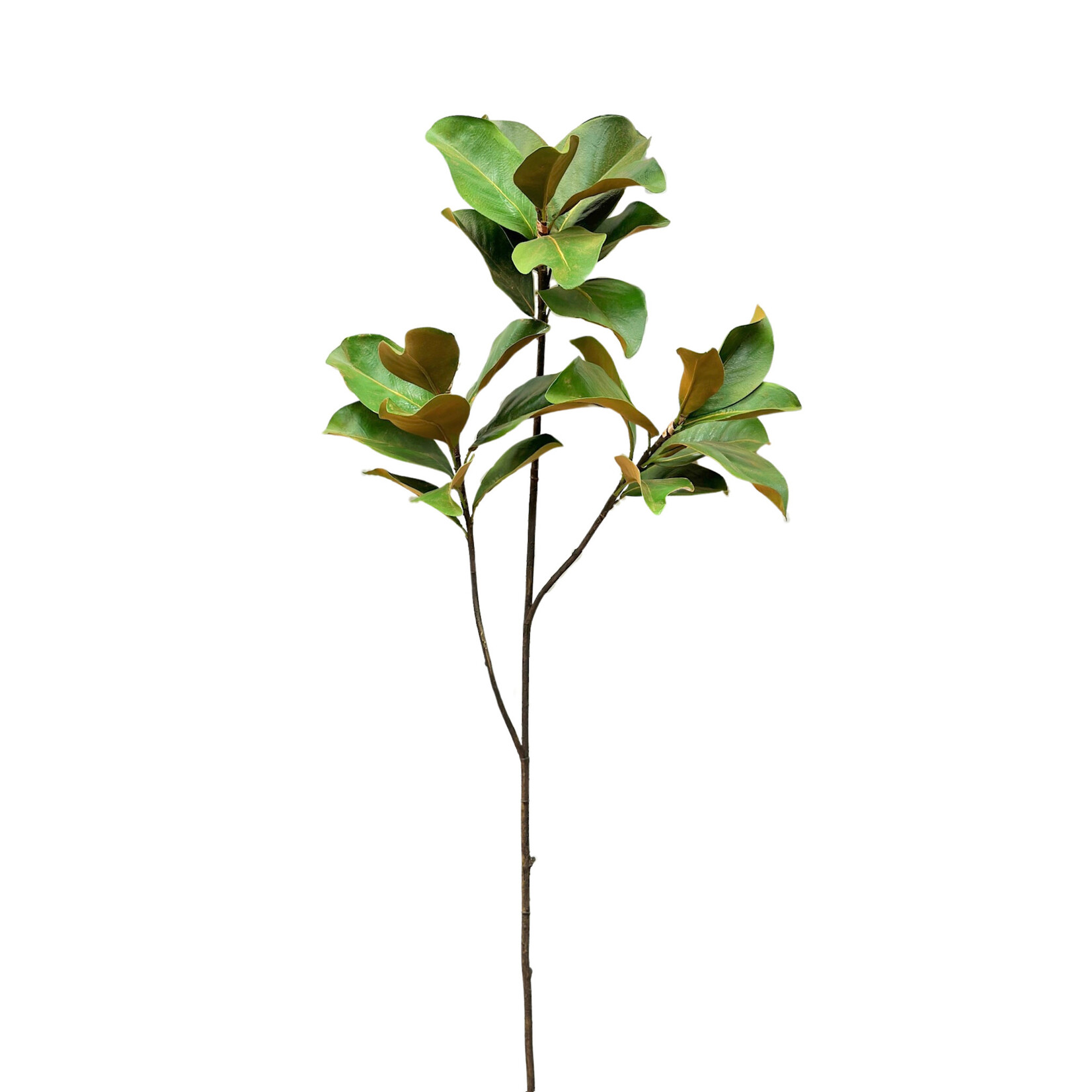 58" MAGNOLIA LEAF BRANCH GREEN