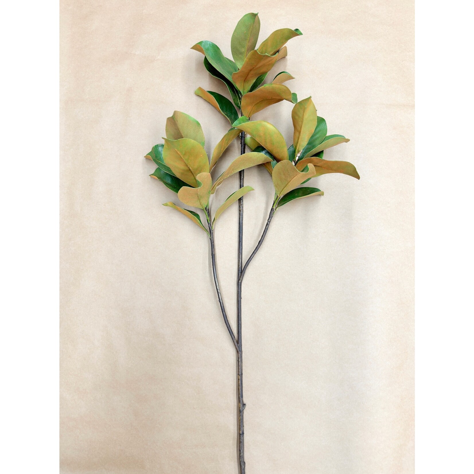 58" MAGNOLIA LEAF BRANCH GREEN