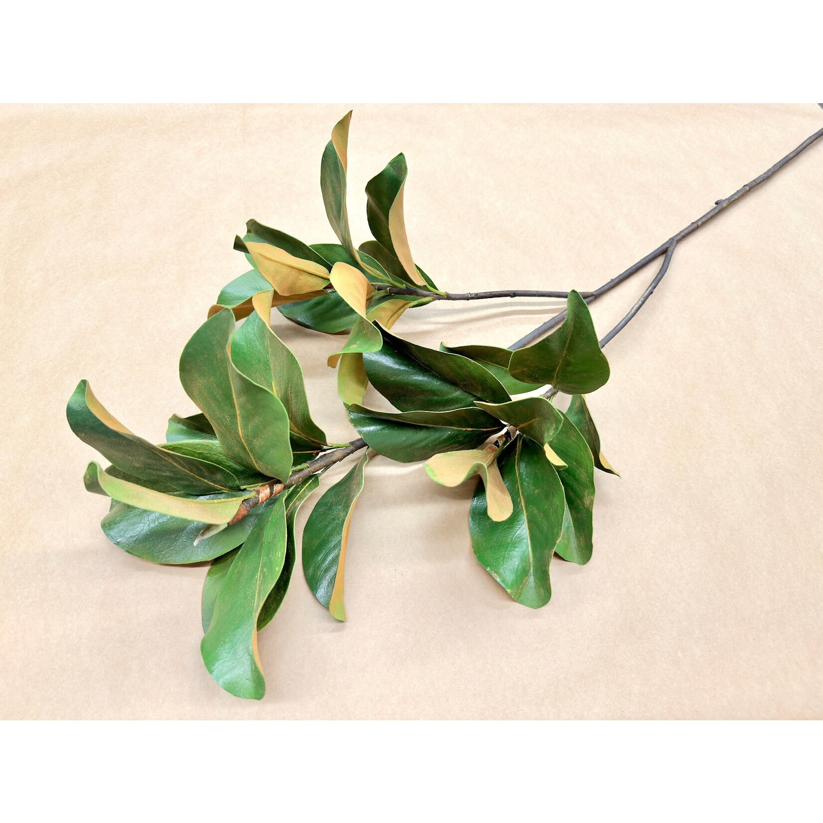 58" MAGNOLIA LEAF BRANCH GREEN