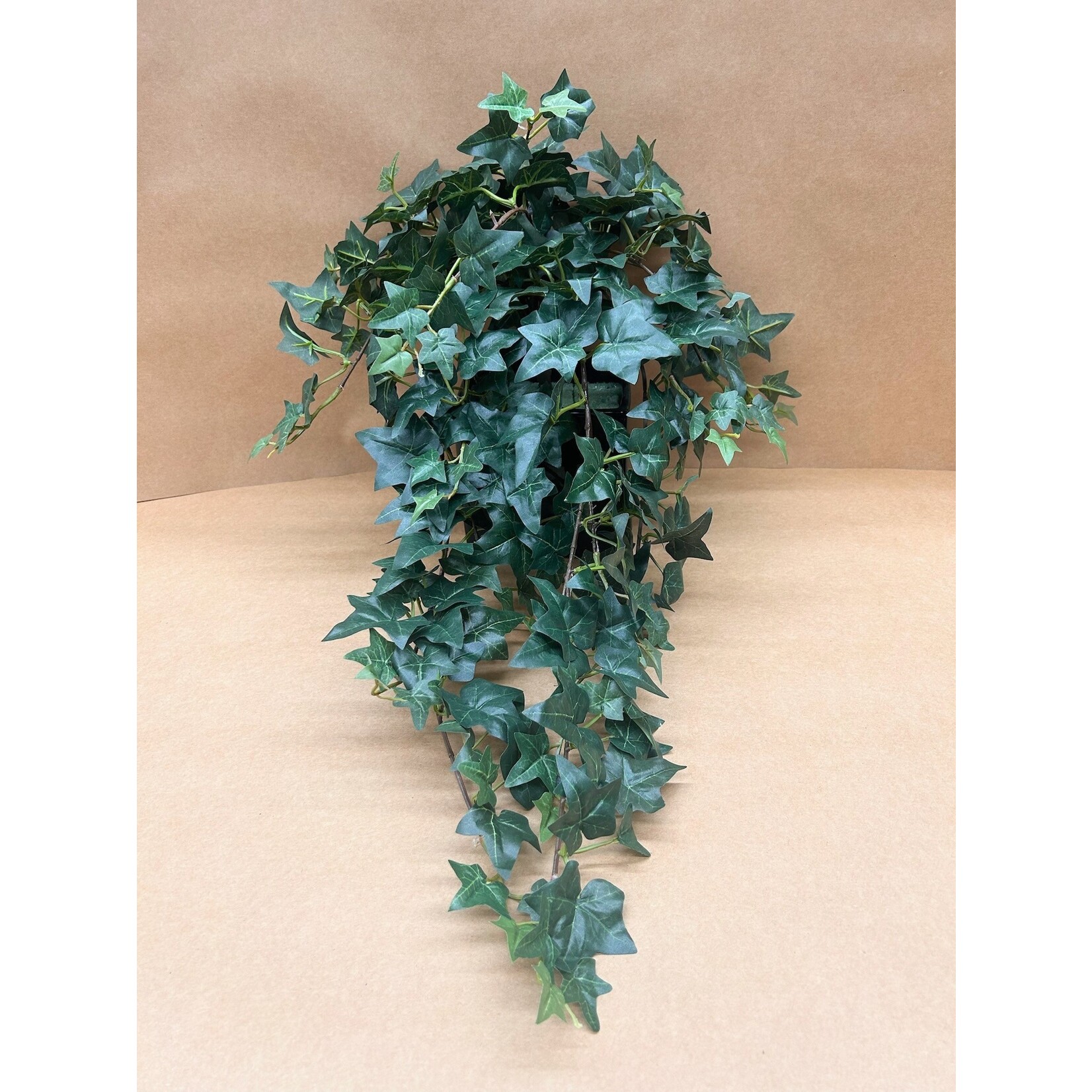31" MEDIUM SAGE IVY HANGING BUSH GREEN TWO TONE