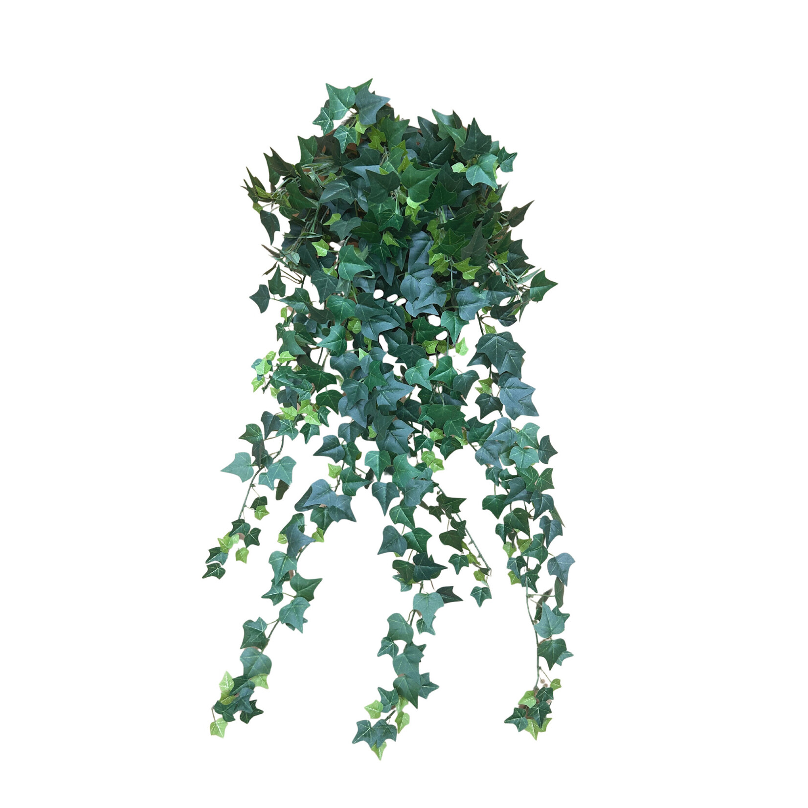 30" MINI IVY HANGING BUSH GREEN