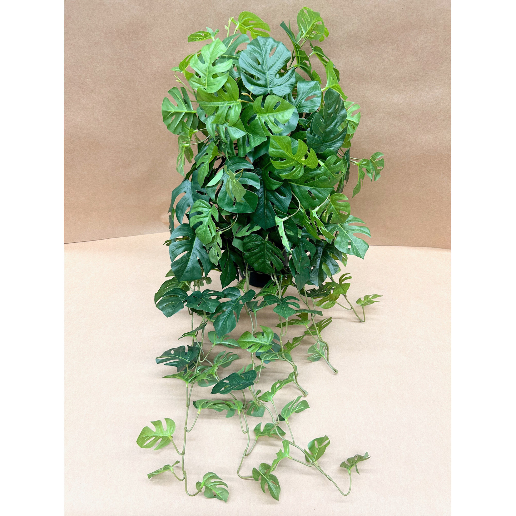 36" SPLIT PHILO HANGING BUSH GREEN