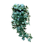 CHB512-GN: 38" PUFF IVY HANGING BUSH GREEN