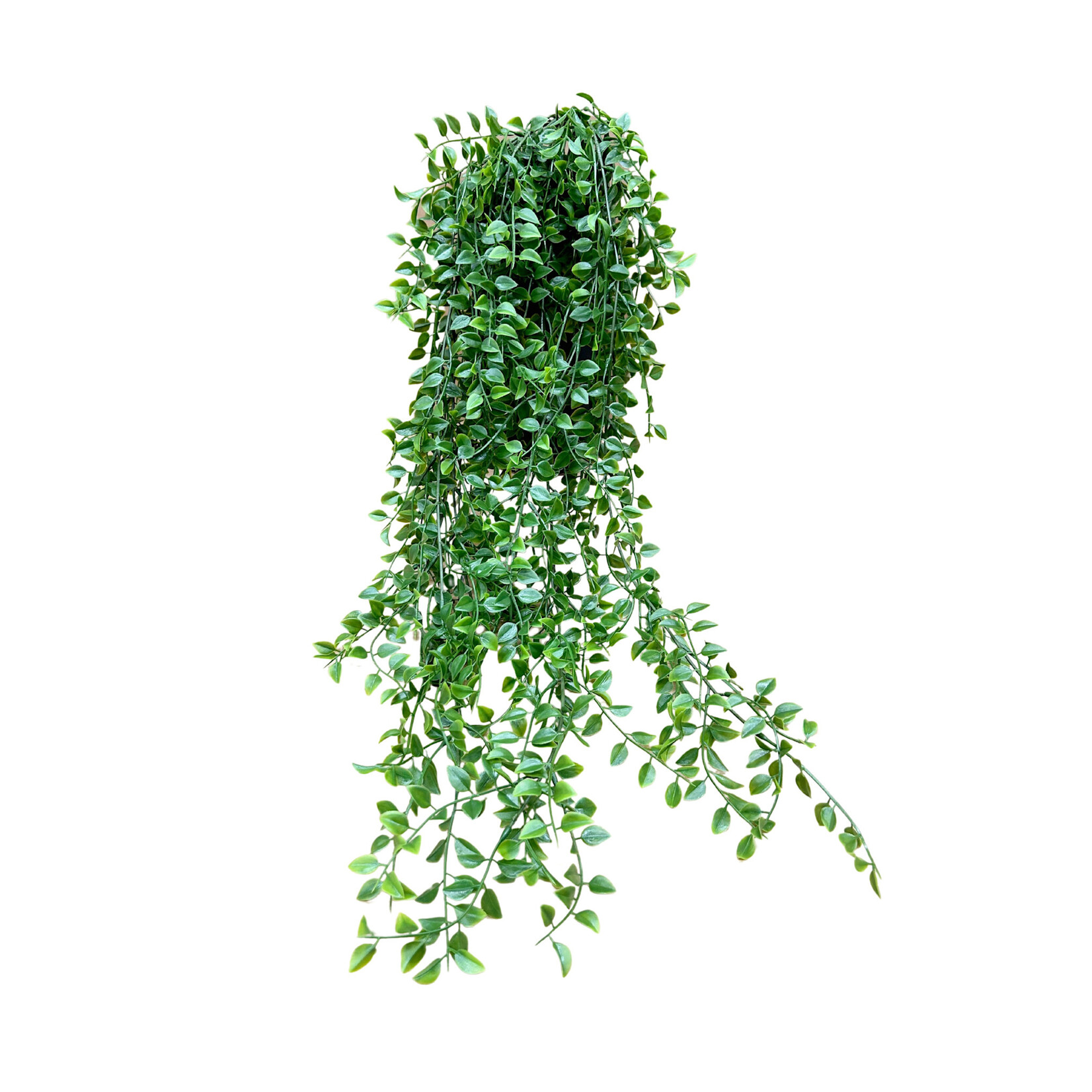 32" SMALL PEA LEAF HANGING BUSH GREEN