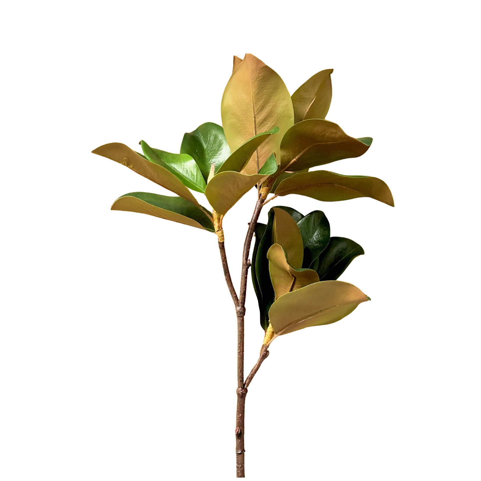 39" MAGNOLIA LEAF SPRAY GREEN